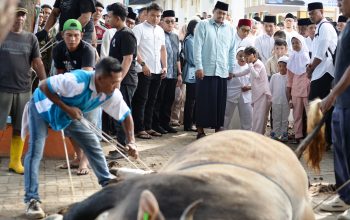 Gubsu Salat Iduladha di Binjai, Pemprovsu Salurkan 167 Hewan Kurban