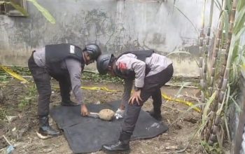 ranjau darat Langkat