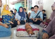 kematian bayi Deli Serdang