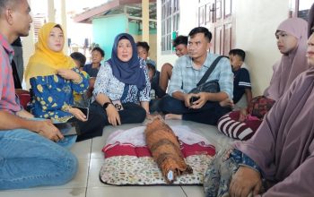 kematian bayi Deli Serdang