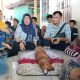 kematian bayi Deli Serdang
