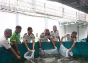 Lapas Medan Tebar 11 Ribu Lele, Panen Jagung 100 Kg untuk Warga Binaan