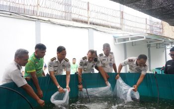 Lapas Medan Tebar 11 Ribu Lele, Panen Jagung 100 Kg untuk Warga Binaan