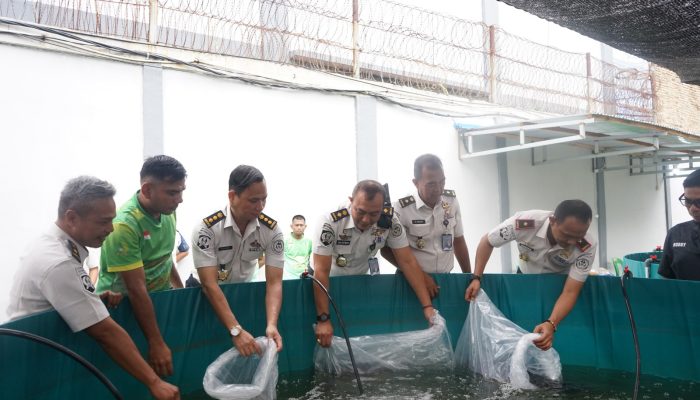 Lapas Medan Tebar 11 Ribu Lele, Panen Jagung 100 Kg untuk Warga Binaan