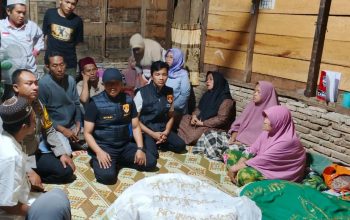 bunuh diri Tapanuli Selatan