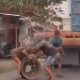 Bajing Loncat Medan