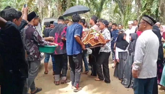 Remaja di Labuhanbatu Selatan Tewas Ditikam Bapak dan Anak, Polisi Buru Pelaku Kabur