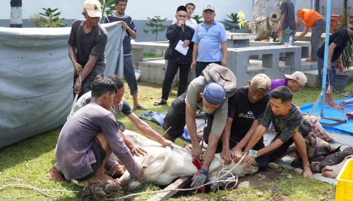 Rutan Kelas I Medan Sembelih 11 Hewan Kurban pada Idul Adha 1447