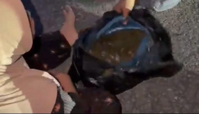 Bawa 3 Kilogram Ganja Naik Becak Bermotor, IRT di Tapanuli Selatan Ditangkap Polisi