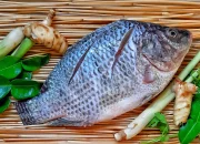 Ikan Penghuni Danau Toba Ini Kini Jadi Primadona Ekspor, Permintaan AS dan Eropa Melonjak