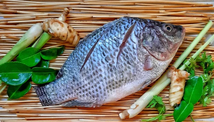 Ikan Penghuni Danau Toba Ini Kini Jadi Primadona Ekspor, Permintaan AS dan Eropa Melonjak