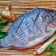 Ikan Nila Ekspor
