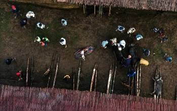 Tampilan aerial suasana pemutaran dan aktivitas warga dalam film dokumenter Pesta Babi yang ramai dicari netizen melalui keyword LK21 Pesta Babi.