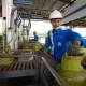 LPG 3 Kg