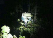 misteri hutan Blora