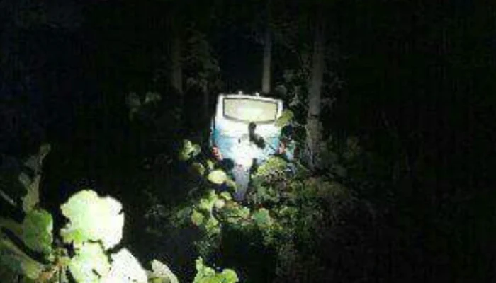 Misteri Bus Nyasar di Hutan Blora yang Tak Masuk Logika: Terowongan Gaib atau Sopir Salah Jalur?