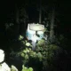 misteri hutan Blora