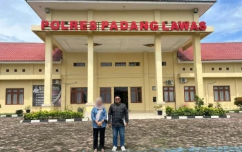 oknum PPPK pelecehan seksual