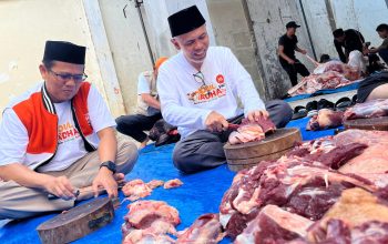 Tebarkan Kebaikan Iduladha, PKS Se-Sumut Sembelih 106 Sapi dan 197 Kambing