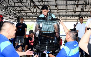 Ramaikan Kontes Burung Berkicau, Gubsu Dorong Sumut Jadi Pusat Kicau Mania Nasional