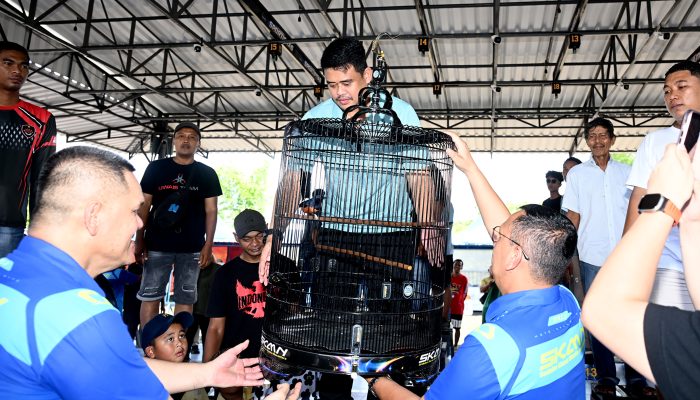 Ramaikan Kontes Burung Berkicau, Gubsu Dorong Sumut Jadi Pusat Kicau Mania Nasional