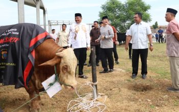 Polda Sumut Sembelih 31 Ekor Sapi di Hari Raya Iduladha