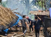 barak narkoba Labuhanbatu Utara