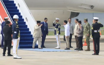Prabowo Prancis