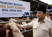 hewan kurban Presiden Prabowo