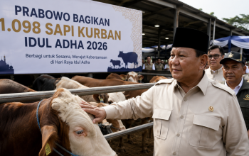 hewan kurban Presiden Prabowo