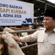 hewan kurban Presiden Prabowo