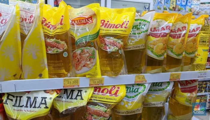Harga Minyak Goreng Promo Hari Ini: Bimoli, Filma, Sania Diskon di Alfamart dan Hypermart