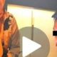 Video Guru Bahasa Inggris dan Murid