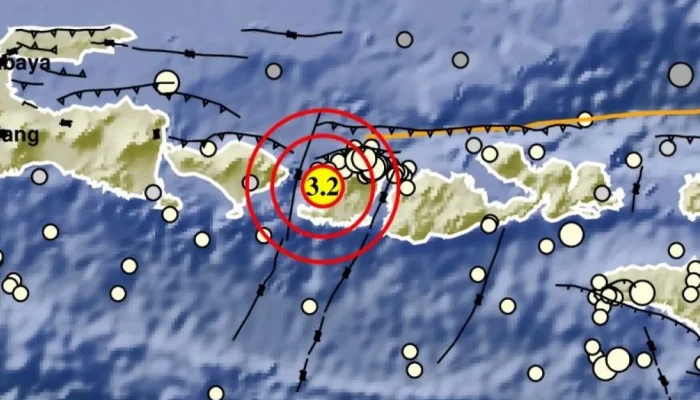 Gempa Bumi Bermagnitudo 3,1 Guncang Lombok Utara, Nusa Tenggara Barat