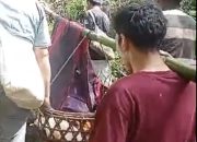 Ibu Hamil di Tapanuli Selatan Ditandu Pakai Bambu ke RS Selama 6 Jam Sejauh 30 Km, Ibu Selamat, Bayi Meninggal Dunia