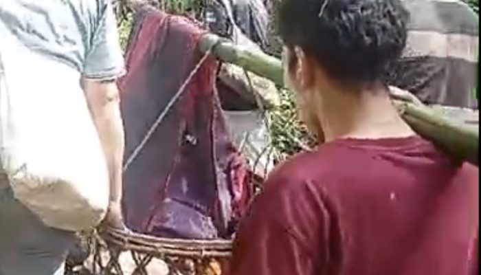 Ibu Hamil di Tapanuli Selatan Ditandu Pakai Bambu ke RS Selama 6 Jam Sejauh 30 Km, Ibu Selamat, Bayi Meninggal Dunia