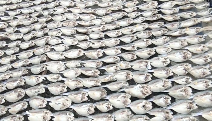 Apakah Ikan Asin Mengandung Kolesterol Baik atau Jahat? Ini Penjelasannya