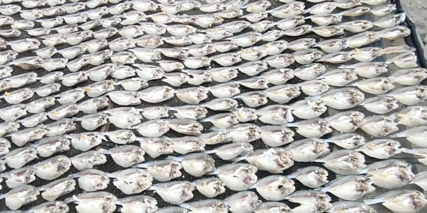 Ikan asin