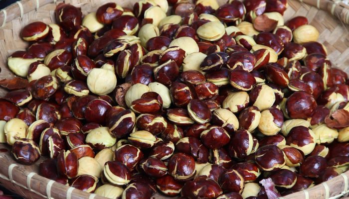 Aroma Jengkol RI Menyebar, Laku Keras dan Diekspor ke Singapura Sampai Hong Kong  