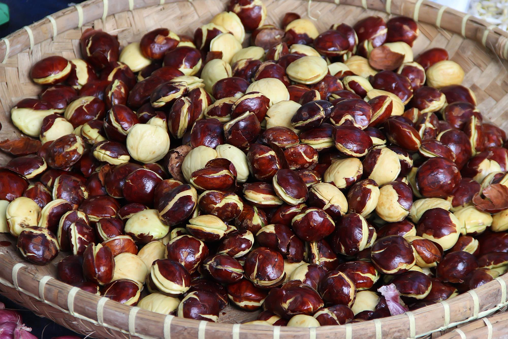 jengkol