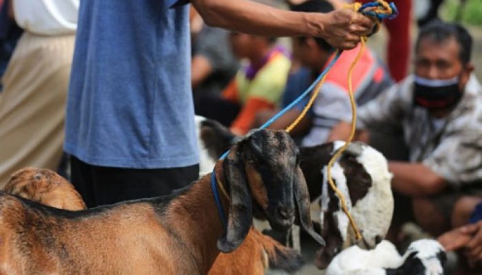 Khutbah Idul Adha 2026: Gotong Royong dalam Pengelolaan Kurban