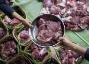 Daging kurban