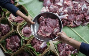 Daging kurban