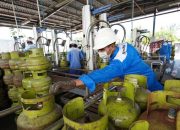Pertamina LPG