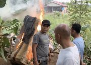Barak Narkoba di Tanjung Morawa, Dimusnahkan Ditresnarkoba Polda Sumut