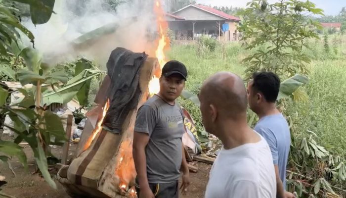 Barak Narkoba di Tanjung Morawa, Dimusnahkan Ditresnarkoba Polda Sumut