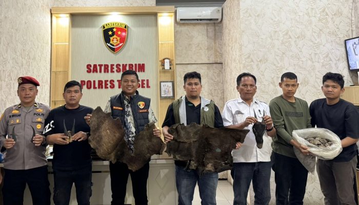 Perdagangan Bagian Tubuh Satwa Dilindungi Digagalkan di Sipirok