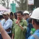 TPL