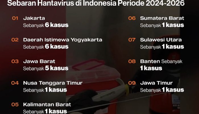 Kemenkes: 23 Kasus Hantavirus Indonesia 2024-2026, Tiga Meninggal Dunia