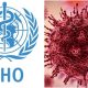 Hantavirus